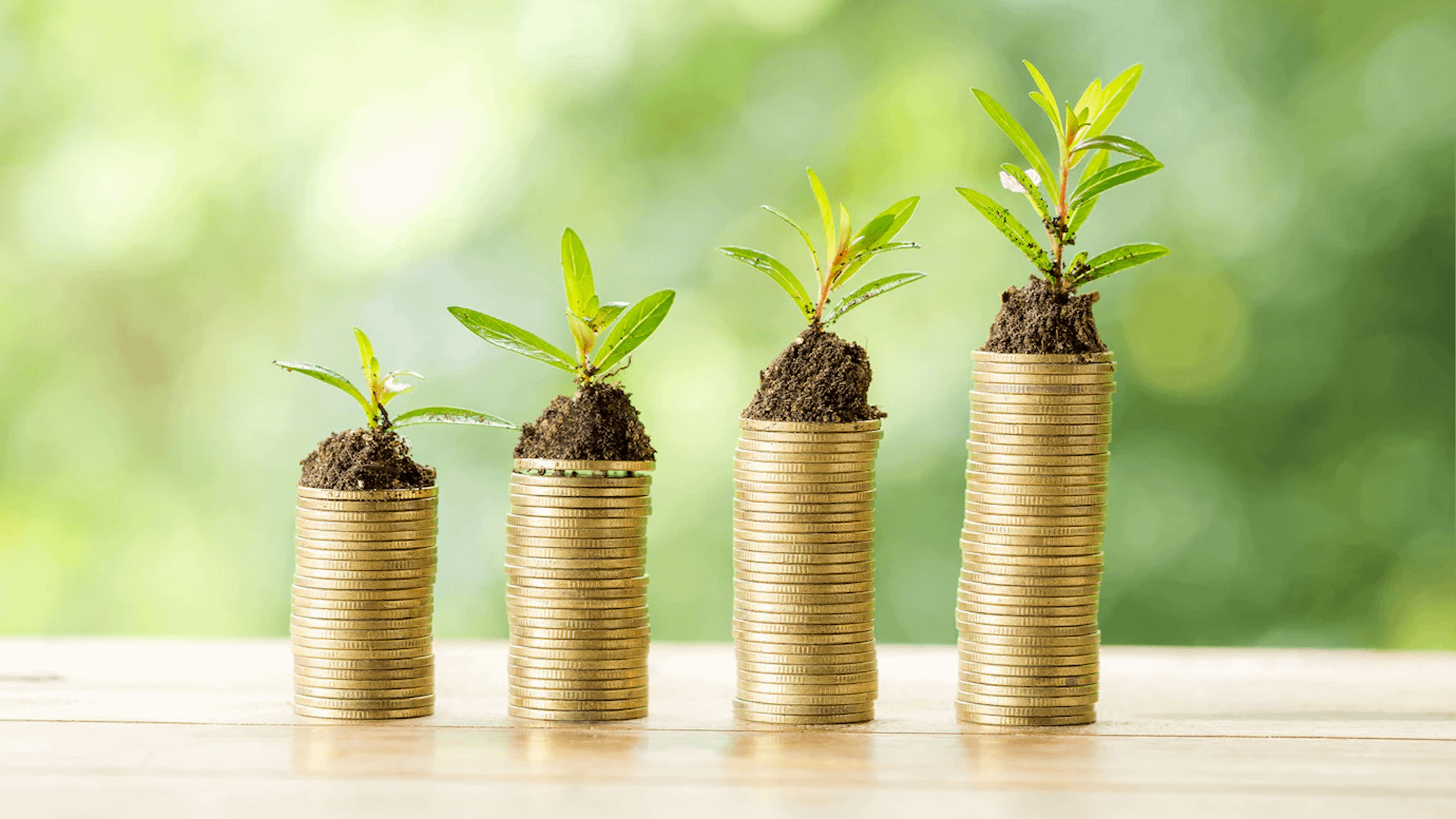 What Does Evergreen Mean in Business? [Examples & Elements]