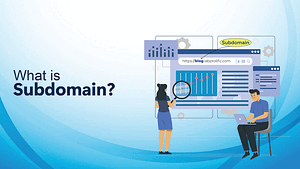 What is subdomain